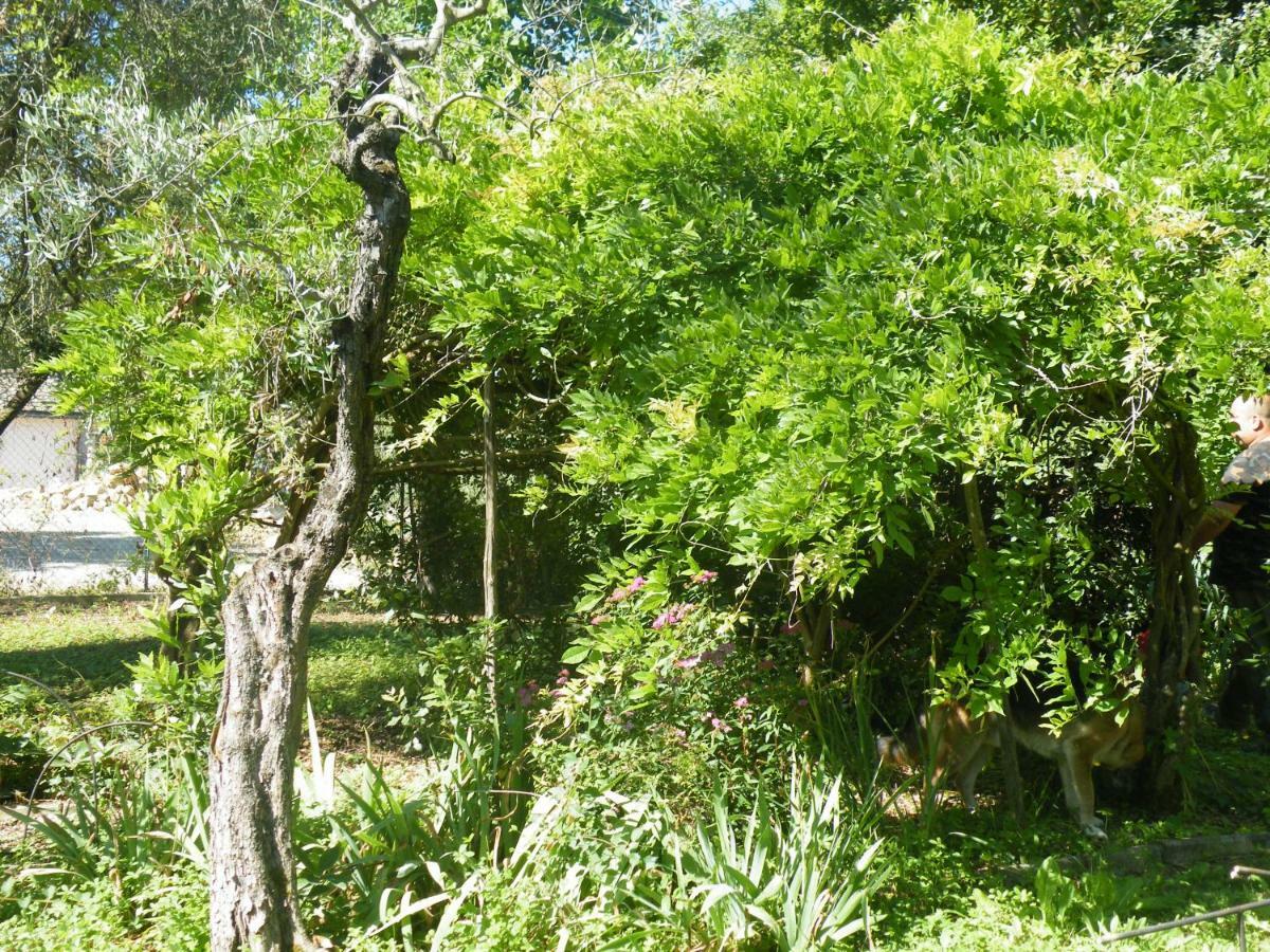 Agriturismo Le Tre Pietre - Podere Nel Chianti Quercegrossa Exterior foto